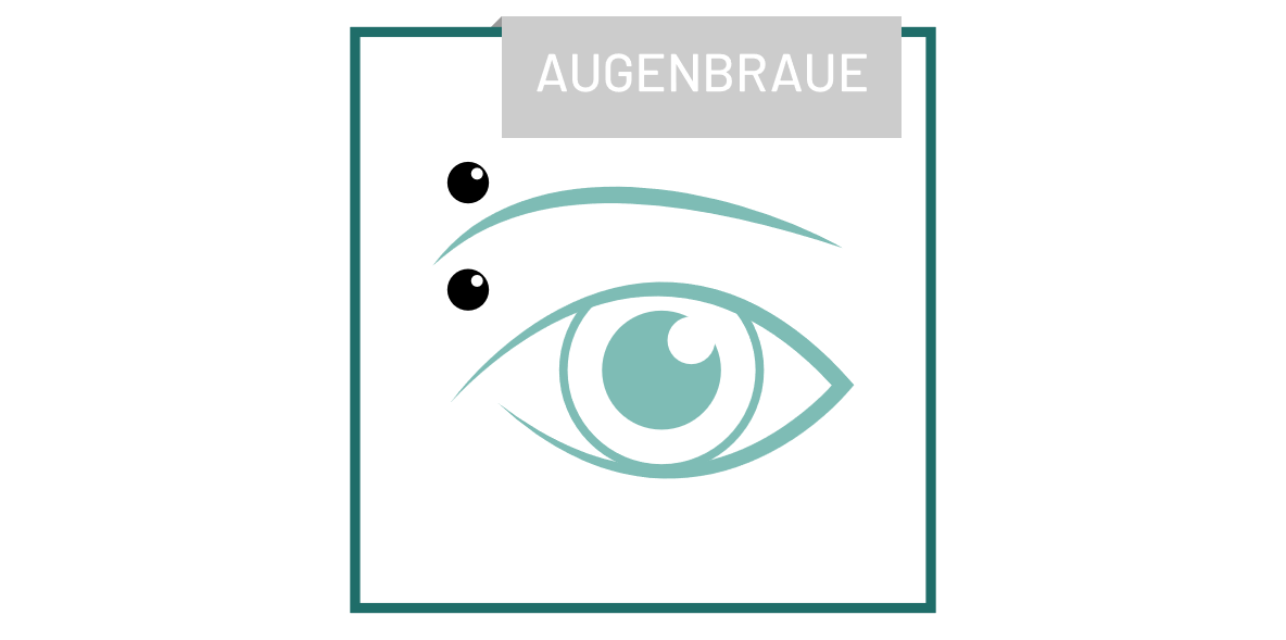 piercing_augenbraue