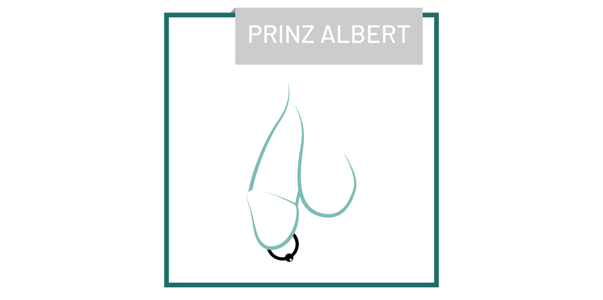 piercing_PrinzAlbert