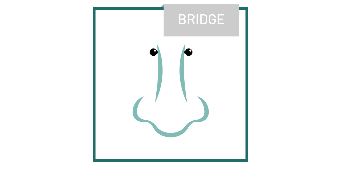 piercing_Bridge