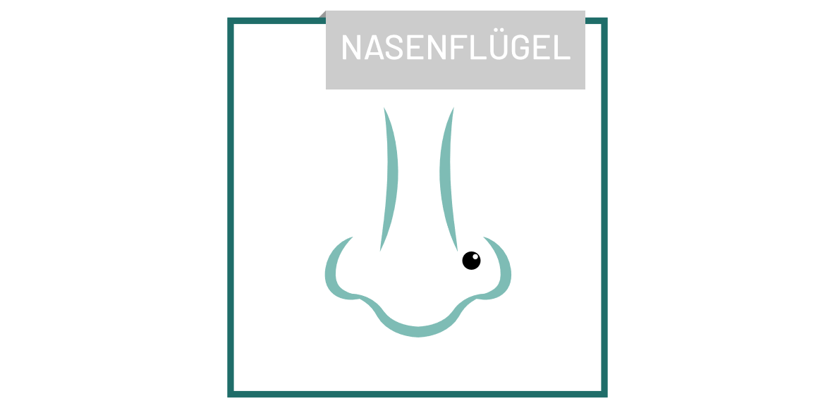 piercing_Nasenfluegel