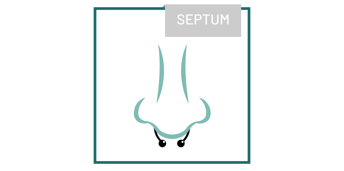 piercing_Septum