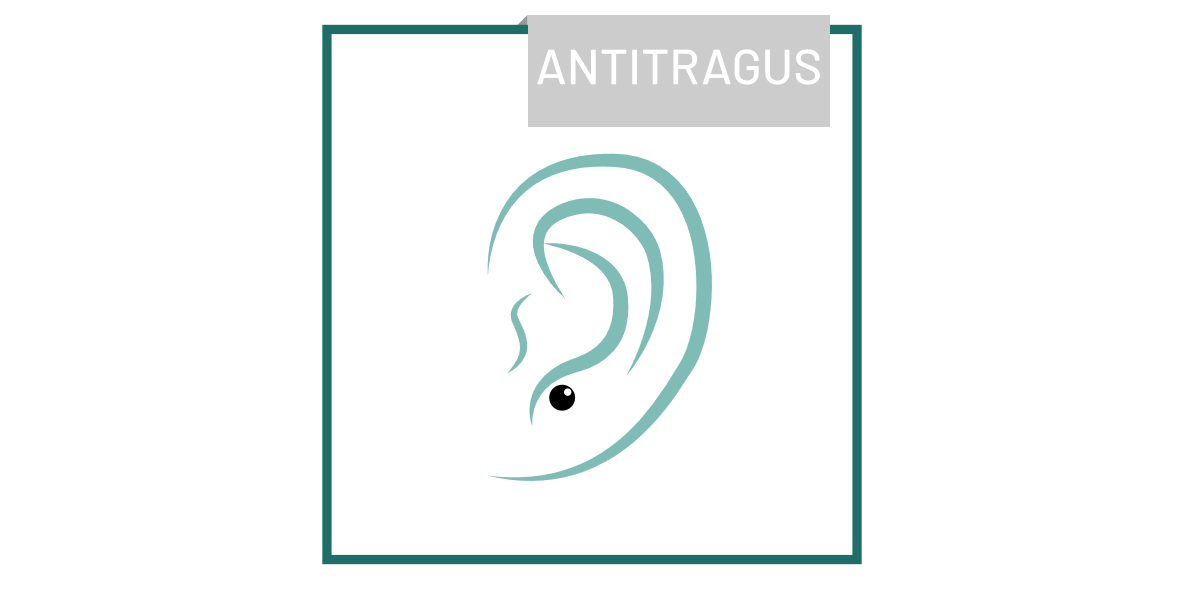 piercing_Antitragus