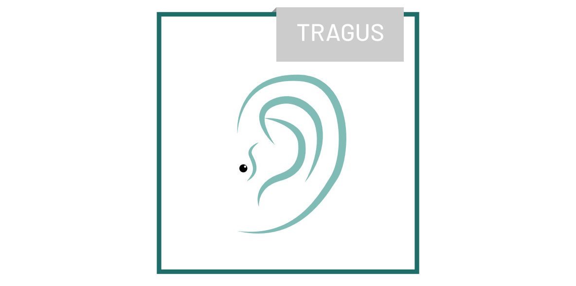 piercing_Tragus